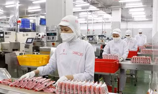 Việt Nam nhận được cảnh báo của EU về mỳ tôm Hảo Hảo chứa chất cấm