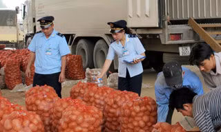Rà soát các sản phẩm xuất khẩu sang Trung Quốc