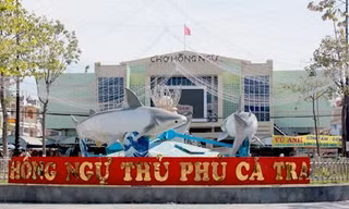 'Siêu lễ hội' cá tra lần đầu tiên tổ chức sẽ thu hút 50.000 du khách