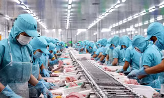 Xuất khẩu thủy sản Việt Nam sắp lập kỳ tích lịch sử 10 tỷ USD