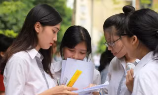 Bộ Lao động: Tỉ lệ thất nghiệp ở nhóm có trình độ đại học giảm