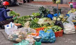 Sau Tết rau xanh tăng giá sốc, vì sao?