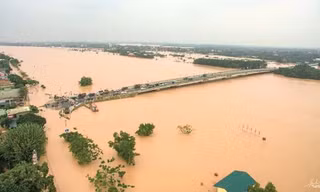Mực nước sông Hồng, sông Thái Bình lên báo động 3, nguy cơ lũ lớn