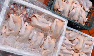 Bộ Nông nghiệp lên tiếng việc hàng chục nghìn tấn gà thải ‘tuồn’ vào Việt Nam