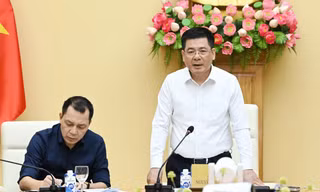 Dự án 500kV Lào Cai - Vĩnh Yên: 'Không để sát nút mới chạy, can thiệp chỗ này chỗ kia'