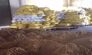 Điều tra đường dây đưa bột xương động vật từ châu Âu vào Việt Nam