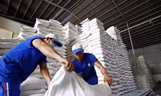 Đề xuất quy định kinh doanh xuất khẩu gạo như 'đánh đố' 