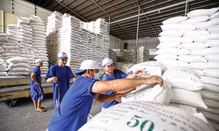 Đề xuất quy định mới về kinh doanh xuất khẩu gạo