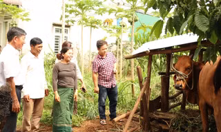 Việt Nam xếp thứ 14 về tài chính toàn diện nhưng người yếu thế vẫn khó tiếp cận vốn