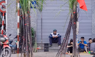 Mía lộc xuống phố trong chiều 30 Tết