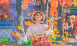 Ngỡ ngàng với con đường phong lá đỏ ở Hà Nội