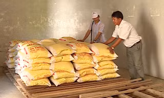 Bị cô lập suốt 2 tuần, người dân đảo Bé được cứu đói khẩn cấp