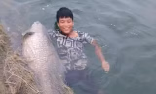 Ngư dân hồ Thác Bà bắt được cá trắm đen “khủng” 42kg