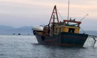 Tàu giã cào hoạt động ngang nhiên trên vịnh Vân Phong. Ảnh: L.H 