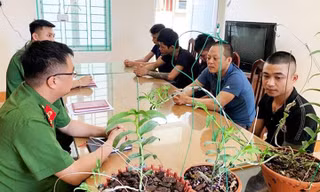 Công an Hoà Bình bắt giữ nhóm đối tượng lừa đảo lan đột biến