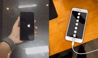 Sau khi nâng cấp iPhone của mình lên iOS 14, chàng trai này nhận được hẳn... 7 trái táo