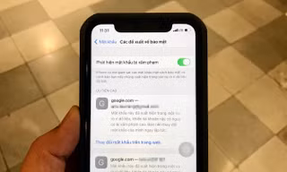 Bạn đã biết cách sử dụng tính năng mới “phát hiện mật khẩu bị lộ” trên iOS 14 chưa?