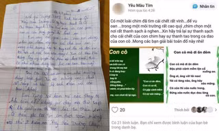 Nữ sinh An Giang nghi tự tử do bị kỉ luật oan: Cần xác minh bài đăng của cô giáo trên MXH