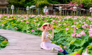 Mùa sen nở rộ, giới trẻ nô nức về Ninh Bình chụp ảnh