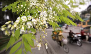 Hà Nội ngày nắng, đêm và sáng sớm trời lạnh