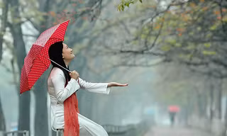 Miền Bắc đêm và sáng có sương mù, mưa phùn