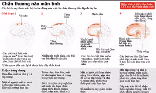 [ĐỒ HỌA] Chấn thương não mãn tính