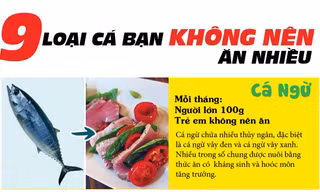 Những tác hại bất ngờ nếu bạn ăn quá nhiều 9 loại cá sau