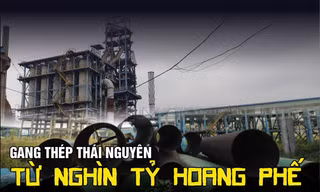 Gang thép Thái Nguyên: Từ nghìn tỷ hoang phế đến lãnh đạo 'xộ khám'