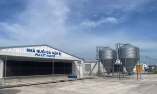 Trại gà Việt Nam đầu tiên đạt tiêu chuẩn xanh thế giới