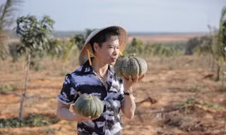 Cán bộ bị kiểm điểm vì thông tin ca sĩ Ngọc Sơn mua 50 ha đất ở Bình Thuận