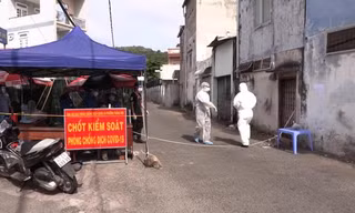 Vũng Tàu tạm đình chỉ lãnh đạo phường do thiếu sâu sát trong phòng chống dịch COVID-19 