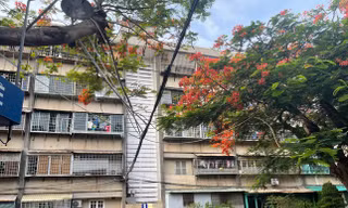 Vụ 120 căn hộ bị thu hồi: Các cơ quan chức năng Bà Rịa Vũng Tàu vào cuộc