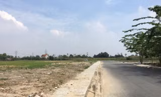 TPHCM dừng giải quyết hồ sơ chuyển mục đích sử dụng đất để chờ hướng dẫn 
