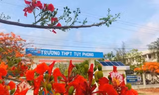 Công an vào cuộc vụ giáo viên bị tố giao cấu với nữ sinh lớp 10 