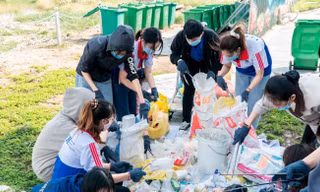 Trường đại học không rác