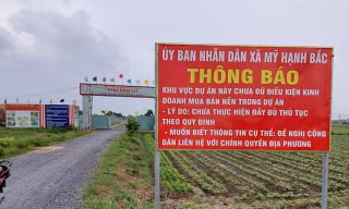 Rộ dự án bất động sản ngang nhiên 'bán lúa non' ở Long An