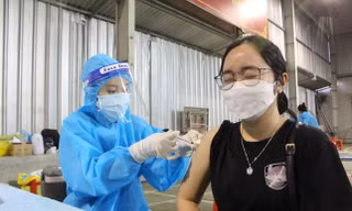 Bà Rịa-Vũng Tàu 'đi từng ngõ, gõ từng nhà' để tiêm vét vắc xin 