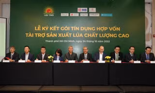 7 ngân hàng 'bơm' 100 triệu USD cho sản xuất lúa chất lượng cao