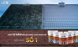 Lavis Brothers Coating đạt chứng nhận Green Label Singapore