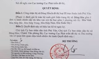 Quyết định giả với mục đích thổi giá đất