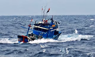 Ảnh minh họa 