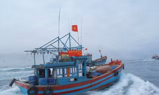 Ảnh minh họa.
