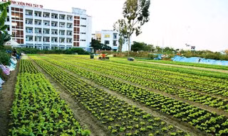 Ảnh Văn Tâm 