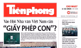 Tiền Phong 336/2024