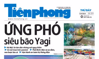 Tiền Phong số 251/2024