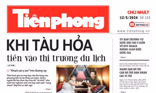 Tiền Phong số 133/2024