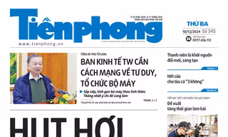 Tiền Phong số 345/2024