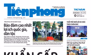 Tiền Phong số 242/2024