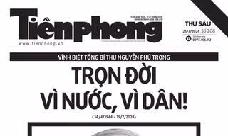 Tiền Phong số 208/2024