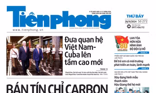 Tiền Phong 272/2024